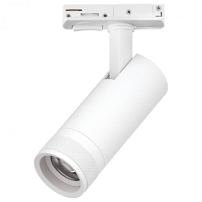 Светильник на штанге Lightstar Canno Pro C4126SS 400_400_3077721